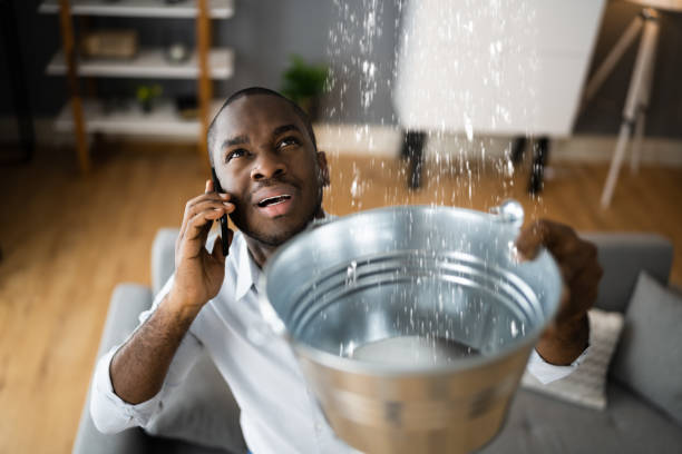 Best Basement water damage restoration  in Kingman, AZ