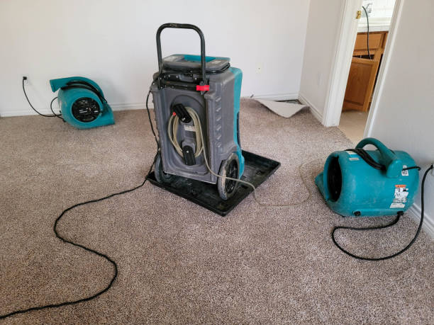 Best Sewage cleanup and water damage restoration  in Kingman, AZ
