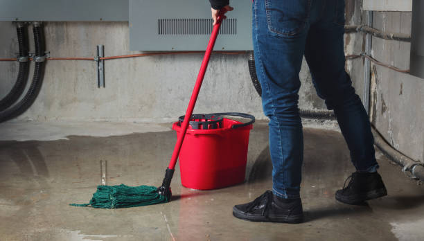 Best Water damage restoration near me  in Kingman, AZ