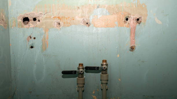 Best Local water damage restoration  in Kingman, AZ
