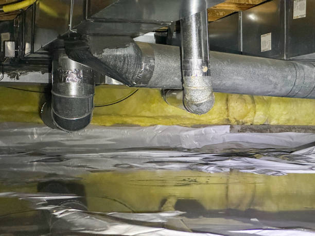 Best Fire Damage Restoration  in Kingman, AZ