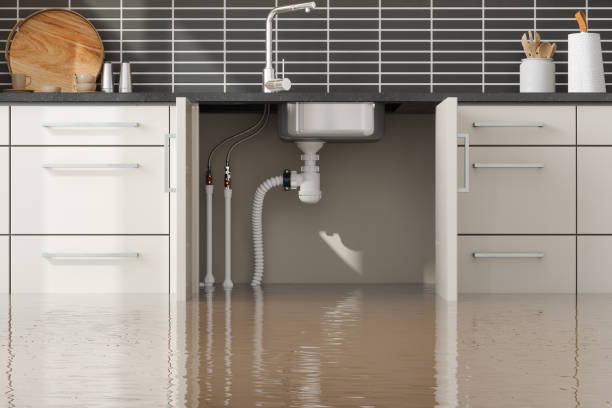 Best Water damage cleanup near me  in Kingman, AZ