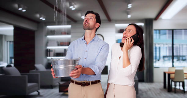 Best Ceiling water damage repair  in Kingman, AZ